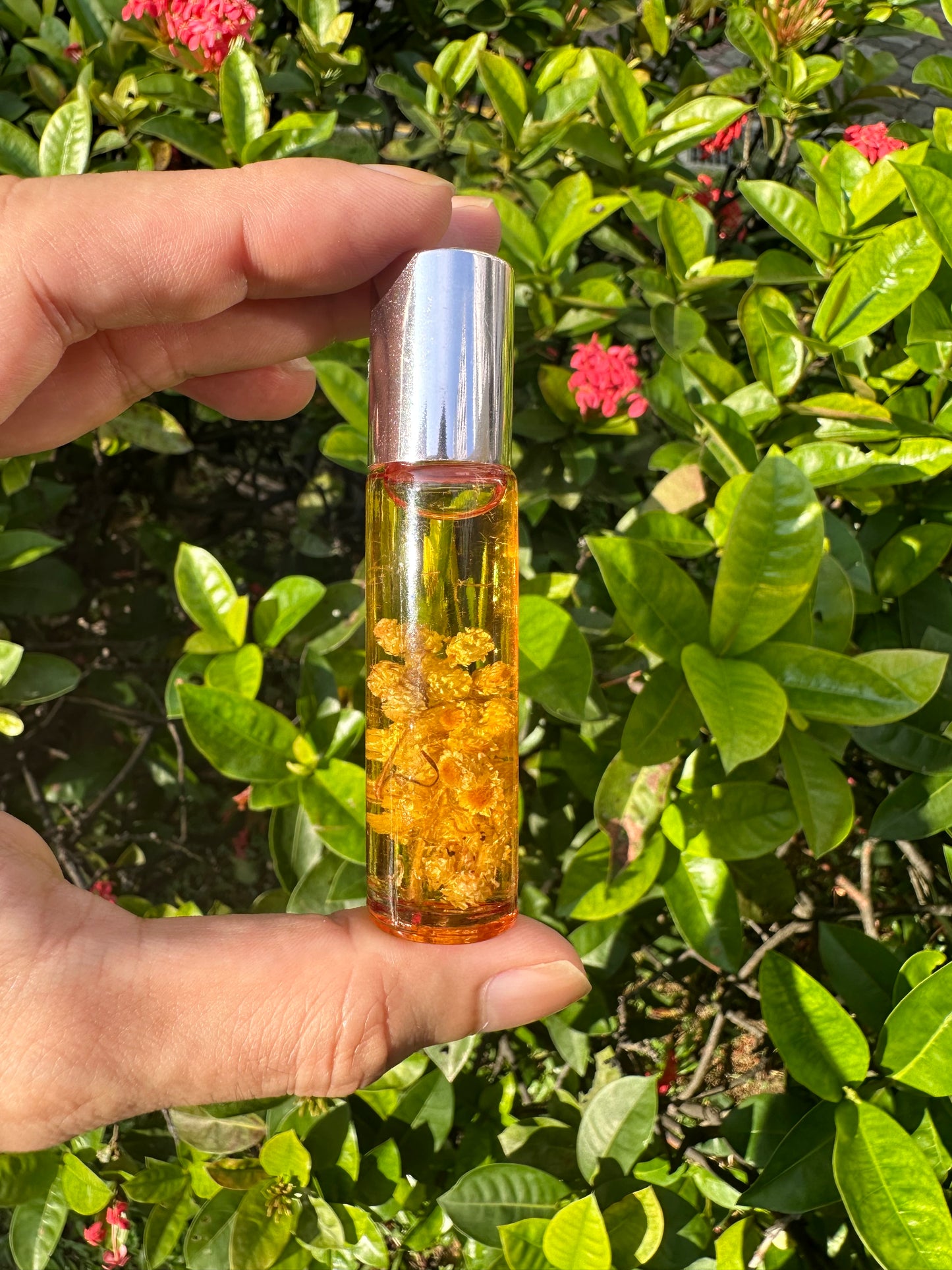 Immortal Beauty Oil