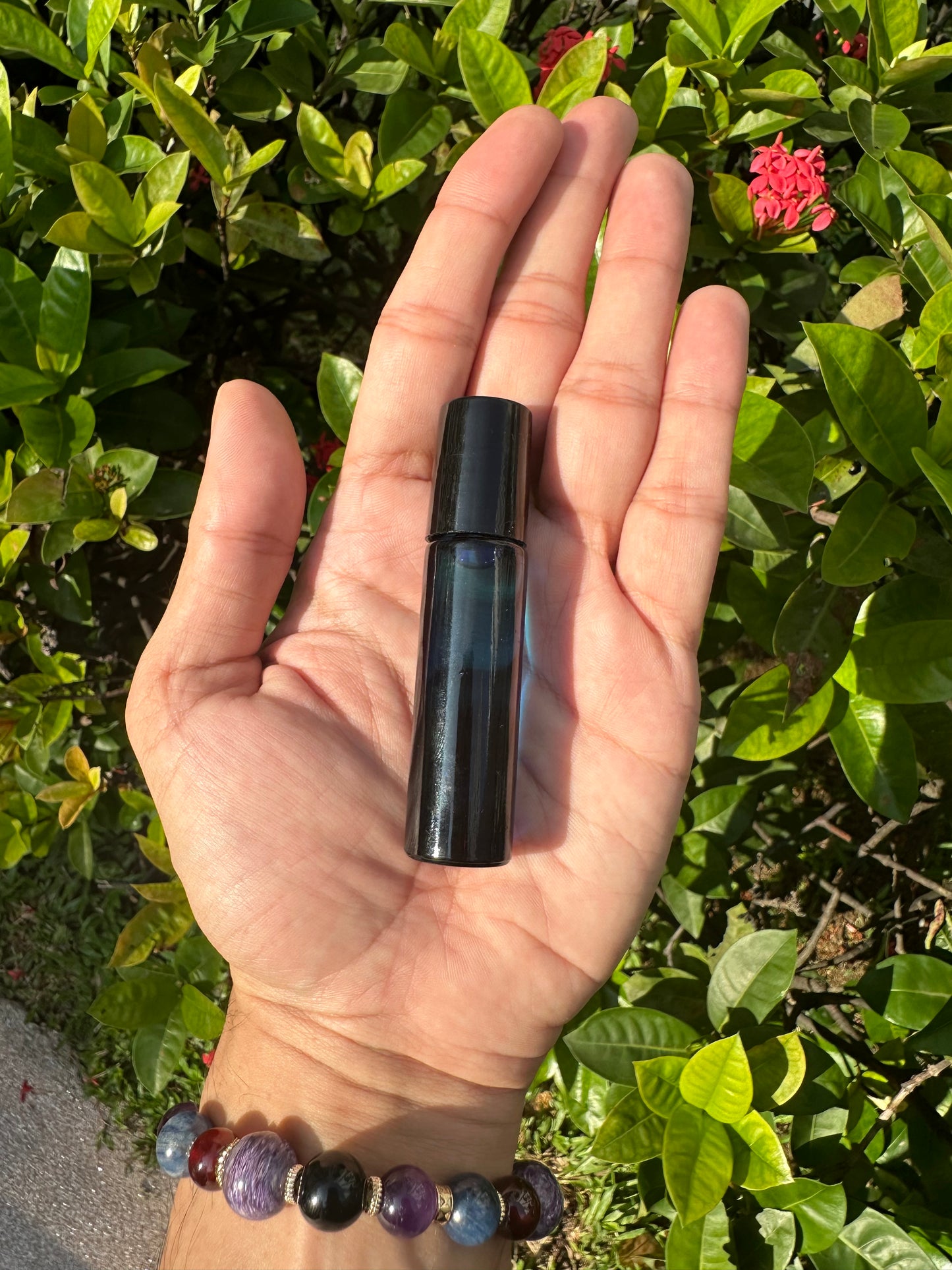 Study and Work Advancement Oil