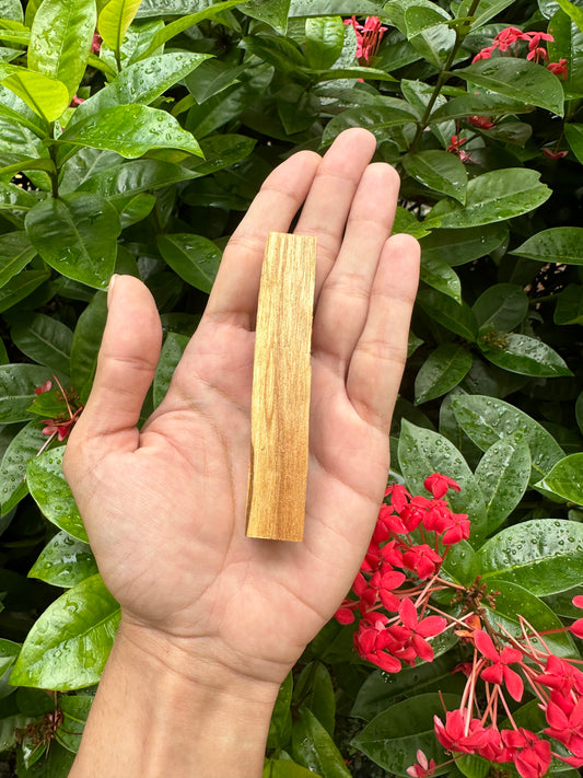 Palo Santo Sticks